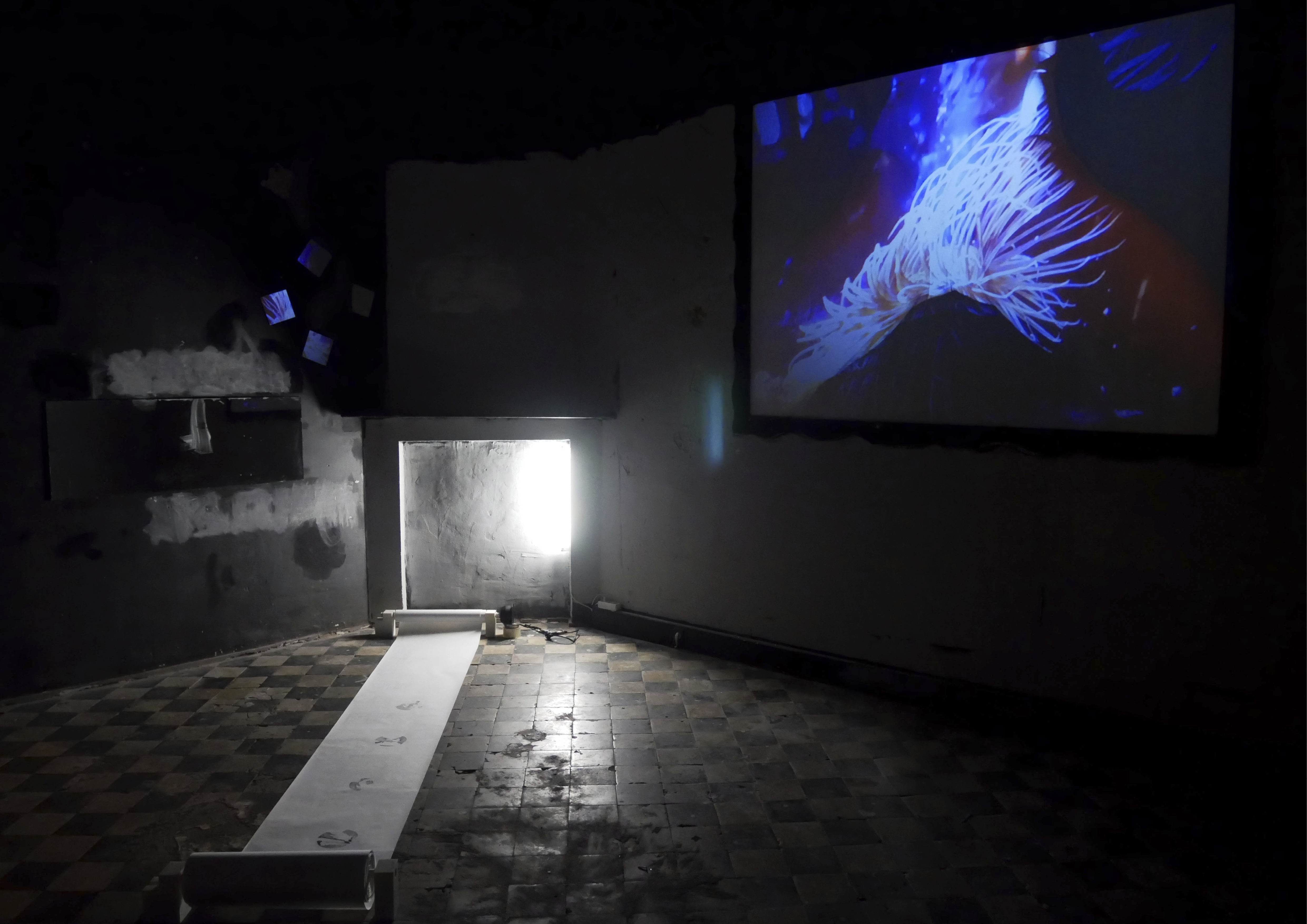 Edition numérique Space XXX16